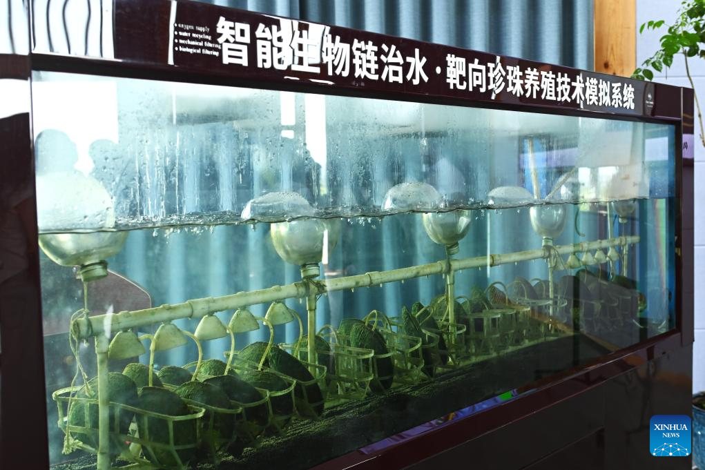 A simulated smart pearl farming system in Shanxiahu Town. Image source: People's Daily Online / Xinhua.